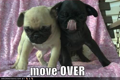 moveover.jpg Move Over image by RuariO