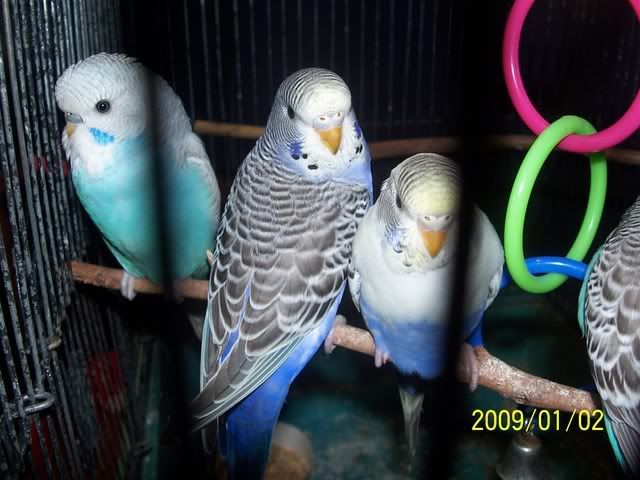 100_1354.jpg