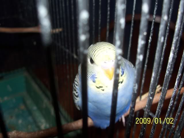 100_1357.jpg