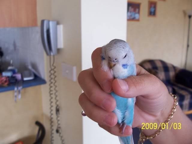 100_1362.jpg