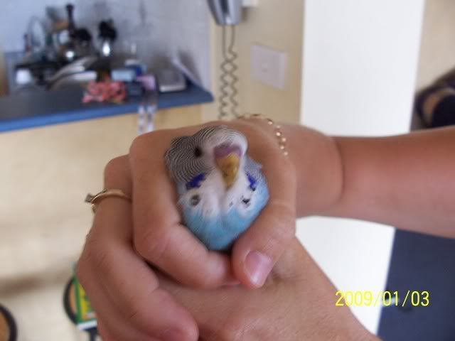 100_1363.jpg