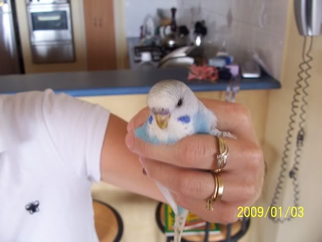 100_1364.jpg