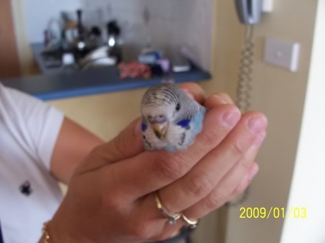 100_1370.jpg