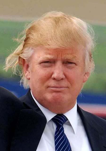 donald trump hair piece. Will work for hair care