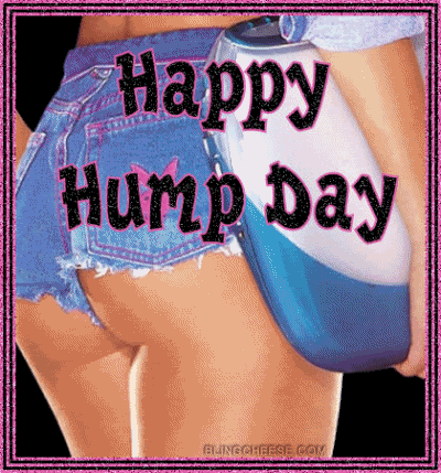 hump day Pictures, Images and Photos