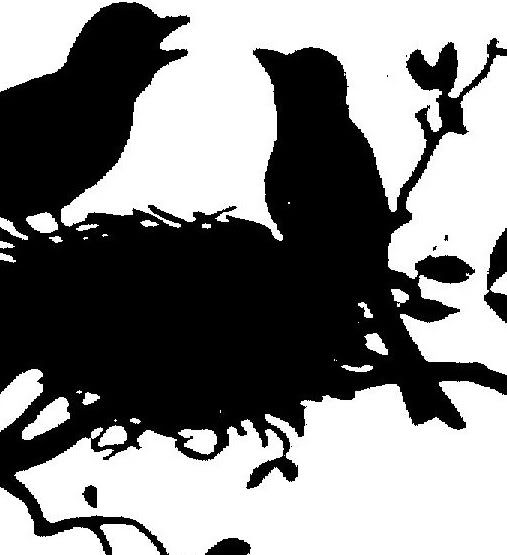 Birds bird_silhouette_crop.jpg