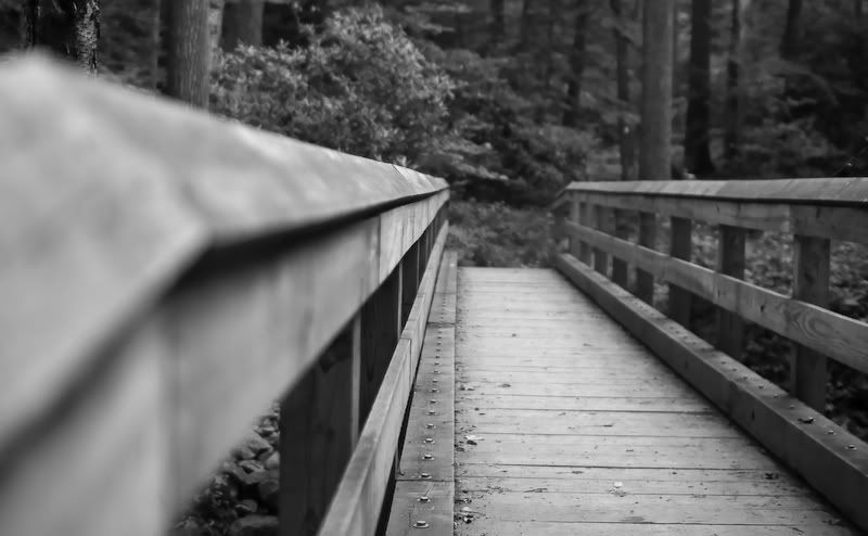 IMAGE: http://i358.photobucket.com/albums/oo26/georgeike/20110808-IMG_1100.jpg