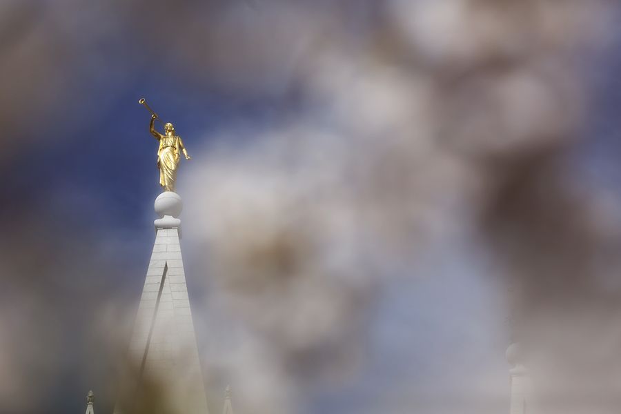 salt lake temple wedding springtime blossoms photo saltlaketempleweddingspringtimeblossoms001_zps3712fbf6.jpg