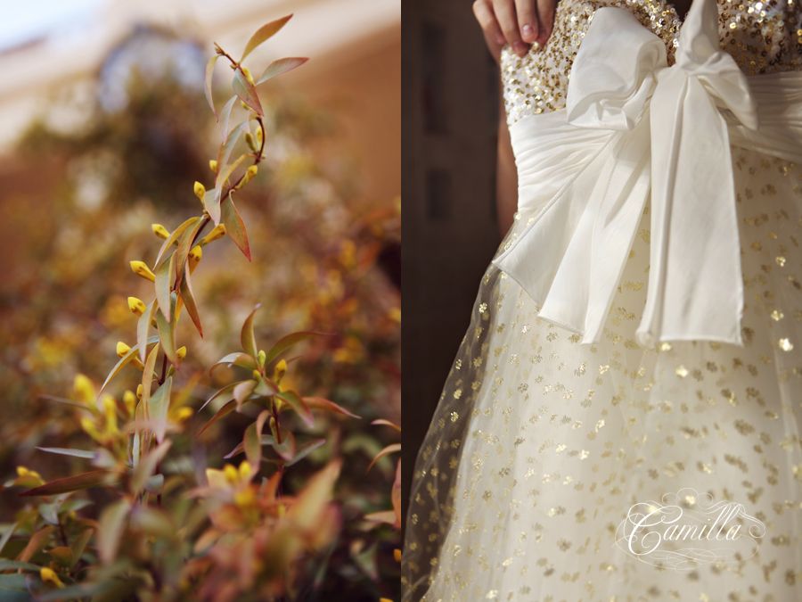 nevada wedding photographer nevada wedding photographer