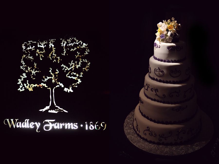 wadley farms utah wadley farms wedding