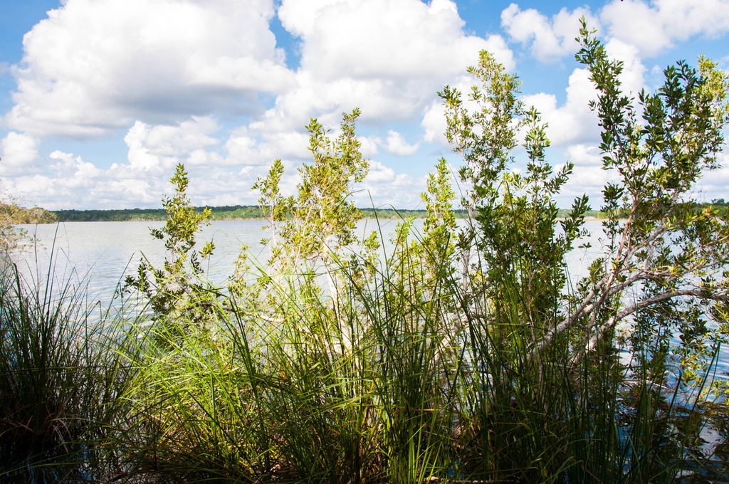 laguna-ojos-mayas-tour