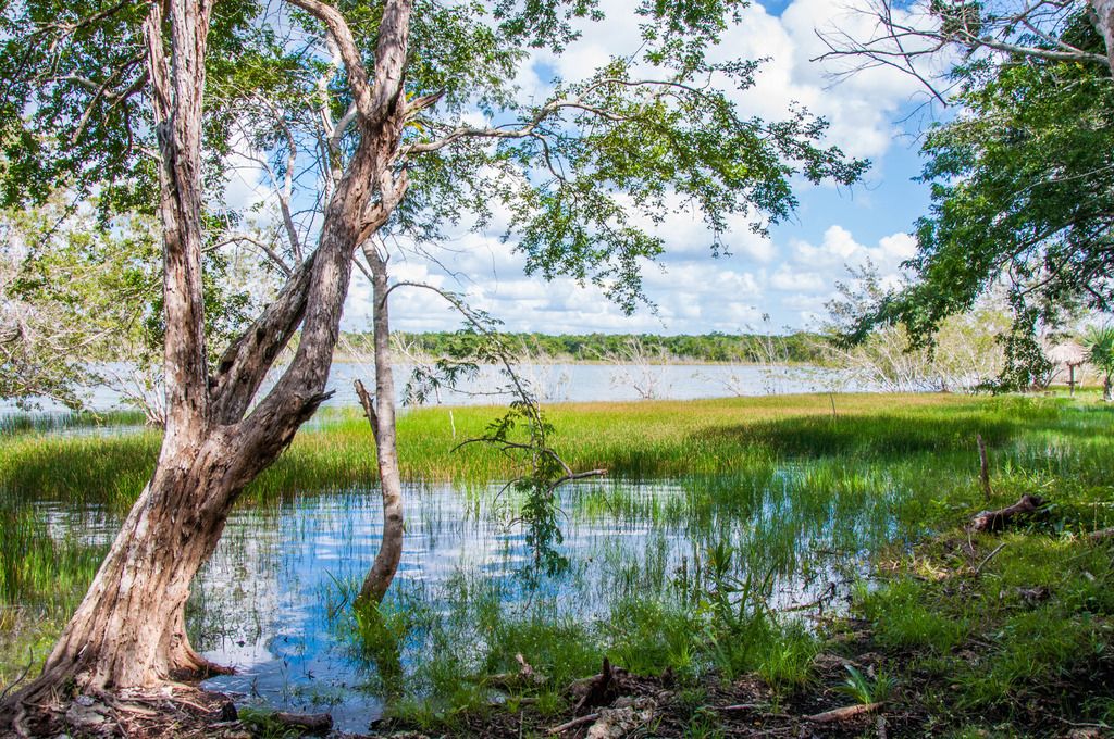 laguna-ojos-mayas-tour