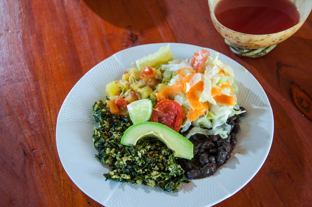 home-made-meal-with-organic-ingredients