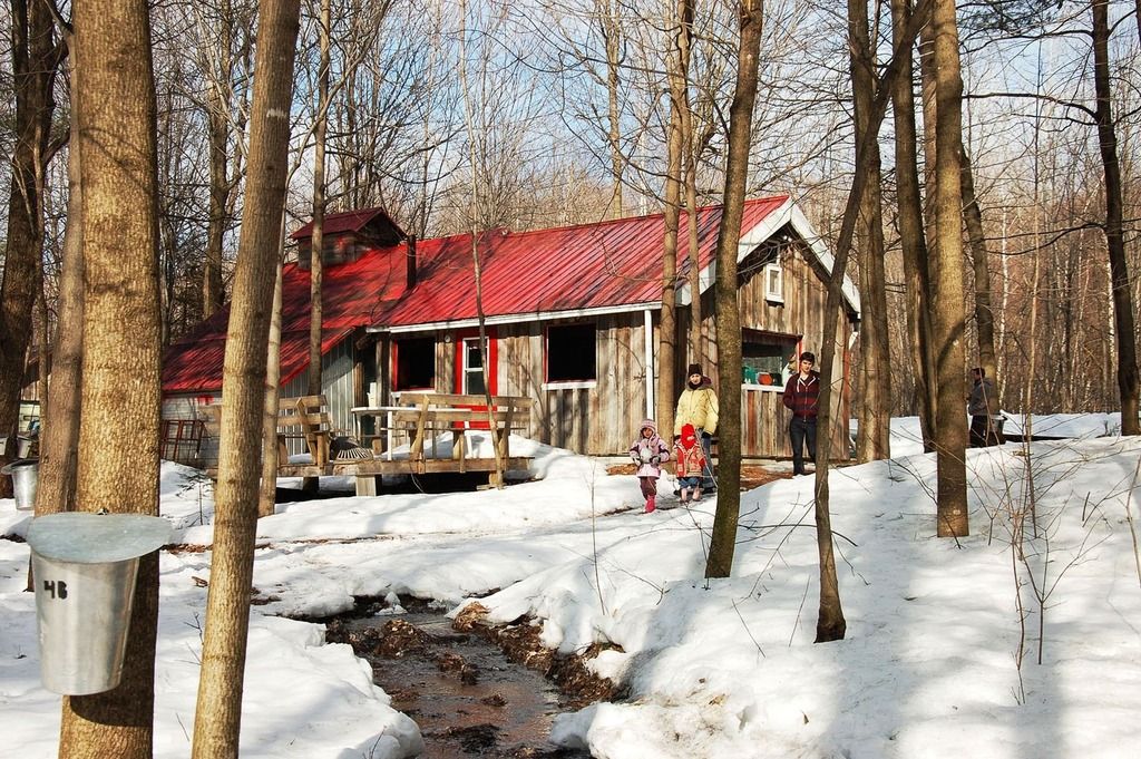 typical-family-at-cabane-a-sucre-in-quebec