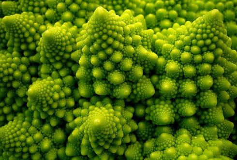 Color | Inspiration | fractal