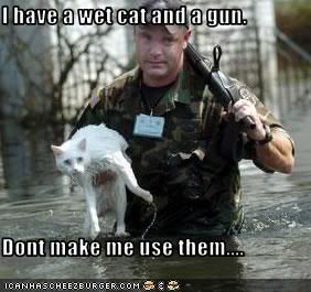 Silliness photo: I have a wet cat and a gun... funny-pictures-cat-is-wet-and-a-wea.jpg