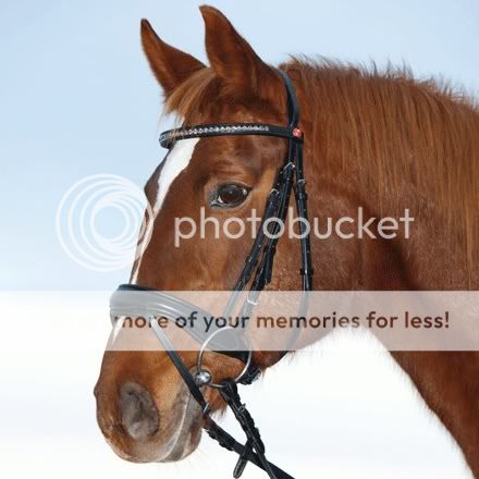 New Kieffer Hannah Comfort Bridle with Crystal Browband Webbed Reins