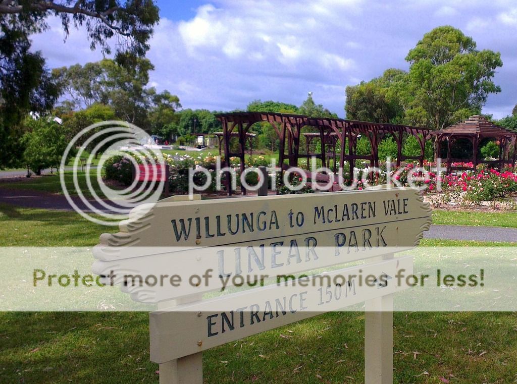 i358.photobucket.com/albums/oo24/jonta3/jonta3001/willunga%20to%20mclaren_zpsl9cyqvef.jpg