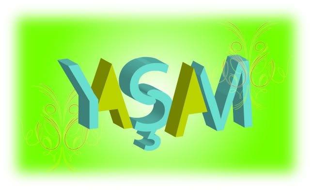 yasam2.jpg