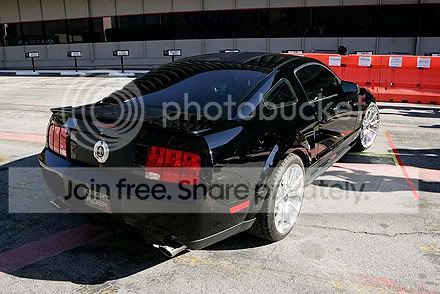 newkitt2.jpg
