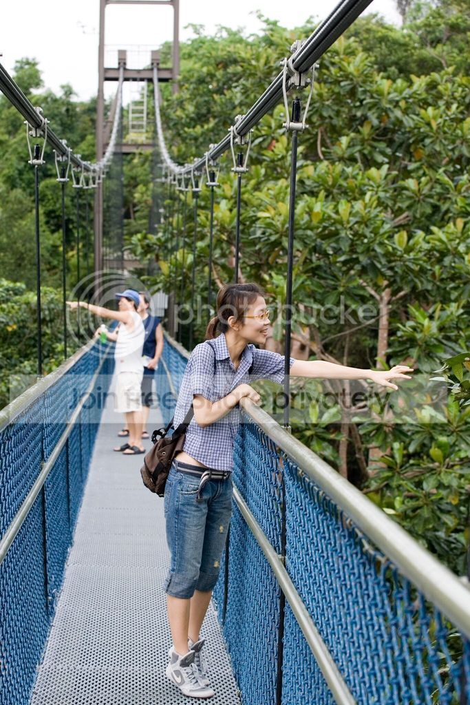  photo AzKd2_9oZ-gU4Kv-40t7Pvslfj3LWryplMCfmYplawk_zpsilnphuvo.jpeg