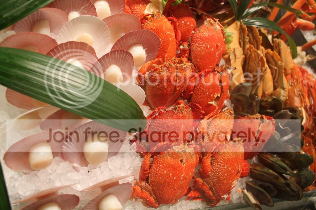  photo IMG_3355_zpsshpbqyfp.jpg