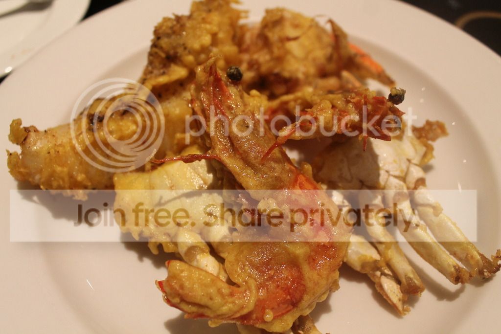 photo IMG_3458_zpstxpfcgnh.jpg